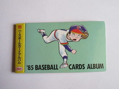 CA36 カードアルバム プロ野球カード 