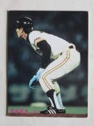 85233 ����ӡ��ץ���奫���� 1985ǯ No.233 ��� ���ܶ��� �¾���