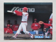 85239 ����ӡ��ץ���奫���� 1985ǯ No.239 ���� Ĺ������ �¾���