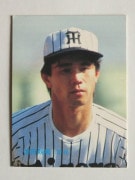 85395 ����ӡ��ץ���奫���� 1985ǯ No.395 ��� ���Ŀƶ� ����