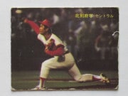 81207 ����ӡ��ץ���奫���� 1981ǯ No.207 ���� �����ܳ� �����륹���������� �²���