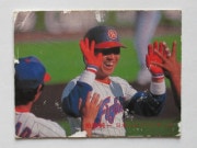 81407 ����ӡ��ץ���奫���� 1981ǯ No.407 ���ܥϥ� �𸶽�� ���ܥ��꡼�� �²���