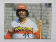 82441 ����ӡ��ץ���奫���� 1982ǯ No.441 ���ܥϥ� ���롼�� ������