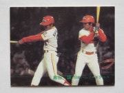 82695 ӡץ奫 1982ǯ No.695 ܥϥ  ¾