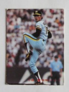 81445 ����ӡ��ץ���奫���� 1981ǯ No.445 ��� ������ �¾���