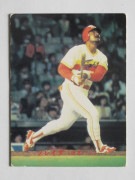 83249 ����ӡ��ץ���奫���� 1983ǯ No.249 ���ܥϥ� ���쥤�� �²���