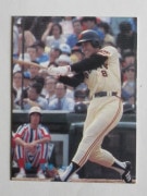 83318 ����ӡ��ץ���奫���� 1983ǯ No.318 ��� ��ä�� ����