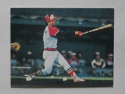 83359 ����ӡ��ץ���奫���� 1983ǯ No.359 ��Ŵ ���Ĺ̰� �¾���