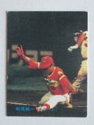 83378 ����ӡ��ץ���奫���� 1983ǯ No.378 ���ܥϥ� �𸶽�� �¾���