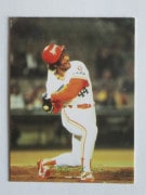 カルビープロ野球カード,83年 | キンキーズ オンラインショップ