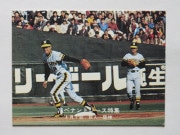 カルビープロ野球カード,78年 | キンキーズ オンラインショップ