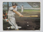 73260 ����ӡ��ץ���奫���� 1973ǯ No.260 ��� ���ľ͹� �²���