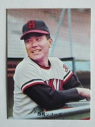 73315 ����ӡ��ץ���奫���� 1973ǯ No.315 ��� Ĺ������ �¾���