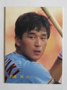 87223 ӡץ奫 1987ǯ No.223   