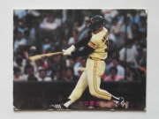 81265 ����ӡ��ץ���奫���� 1981ǯ No.265 ��� ø������ �²���