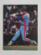 81313 ����ӡ��ץ���奫���� 1981ǯ No.313 ���� ë����� ����