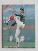 85175 ����ӡ��ץ���奫���� 1985ǯ No.175 � ȫ���� �²���