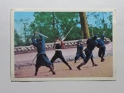 HR011 �ҡ����������ʡ������̤�Ǧ���ֱ� �֥��ޥ��� �²���