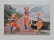 HR136 �ҡ����������ʡ� �ȥ�ץ�ե������� �֥��ޥ��� �¾���