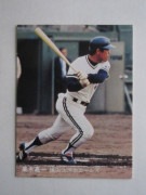 81100 ����ӡ��ץ���奫���� 1981ǯ No.100 ���� ���ڲŰ� ����