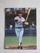 81262 ����ӡ��ץ���奫���� 1981ǯ No.262 ��� ��Ȫ�� �²���