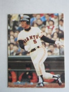 81272 ����ӡ��ץ���奫���� 1981ǯ No.272 ��� ��Ǹ���� �²�������