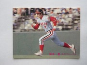 81389 ����ӡ��ץ���奫���� 1981ǯ No.389 ��� ʡ��˭ ������