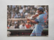 81424 ����ӡ��ץ���奫���� 1981ǯ No.424 ���ܥϥ� �ԡ����쥤�� ���ܥ��꡼�� �¾���