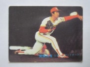 82136 ӡץ奫 1982ǯ No.136 ܥϥ ּͭ 