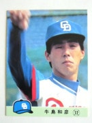 カルビープロ野球カード,84年 | キンキーズ オンラインショップ