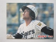 85101 ����ӡ��ץ���奫���� 1985ǯ No.101 ��� ���ľ��� �¾��������