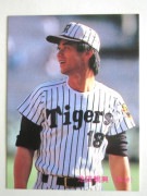 85294 ����ӡ��ץ���奫���� 1985ǯ No.294 ��� ���Ŀƶ� ����