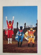 HR194 �ҡ����������ʡ� ���� ����󥸥㡼 ������ No.112 �²�������