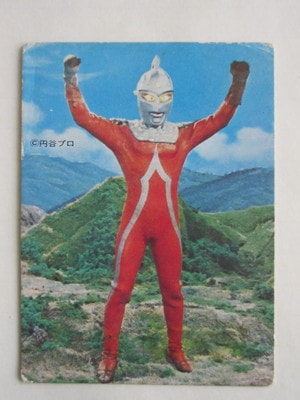 HR229 �ҡ����������ʡ� ������ ����ȥ饻�֥� ������ No.118 �²���