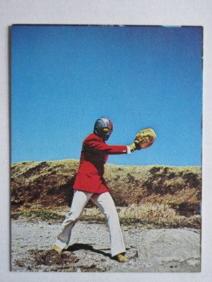 HR240 �ҡ����������ʡ� ���� ���ܥåȷ��� ������ No.49 �¾���