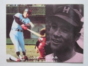 カルビープロ野球カード,77年 | キンキーズ オンラインショップ
