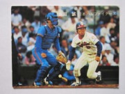 81141 ����ӡ��ץ���奫���� 1981ǯ No.141 ���ܥϥ� ������ �¾���