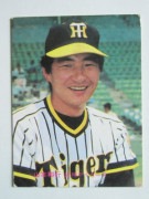 81196 ����ӡ��ץ���奫���� 1981ǯ No.196 ��� �����¹� �²���