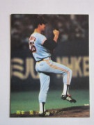 81256 ����ӡ��ץ���奫���� 1981ǯ No.256 ��� ������ �¾���