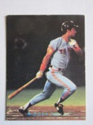 81261 ����ӡ��ץ���奫���� 1981ǯ No.261 ��� �ۥ磻�� ����