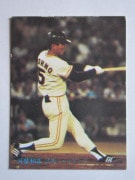 81264 ����ӡ��ץ���奫���� 1981ǯ No.264 ��� ��Ǹ���� �²���