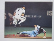 81334 ����ӡ��ץ���奫���� 1981ǯ No.334 ���� �������� �²���