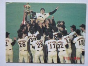 81399 ����ӡ��ץ���奫���� 1981ǯ No.399 ��� �²���