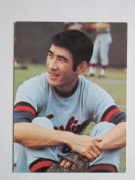 73133 ����ӡ��ץ���奫���� 1973ǯ No.133 ���� ���ܹ��� �²���