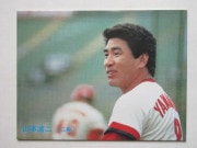 85183 ����ӡ��ץ���奫���� 1985ǯ No.183 ���� ���ܹ��� ����