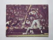 カルビープロ野球カード,73年 | キンキーズ オンラインショップ