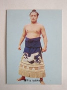 カルビー 大相撲カード 73年 魁傑 カルビー 大相撲カード セット 73年 レア - メルカリ