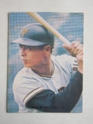 74005 ����ӡ��ץ���奫���� 1974ǯ No.5 ��� ���缣 ����