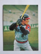 74216 ����ӡ��ץ���奫���� 1974ǯ No.216 ��Ŵ �ڰ����� �²���