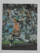 74347 ����ӡ��ץ���奫���� 1974ǯ No.347 ���� ʿ������ �¡��¾���